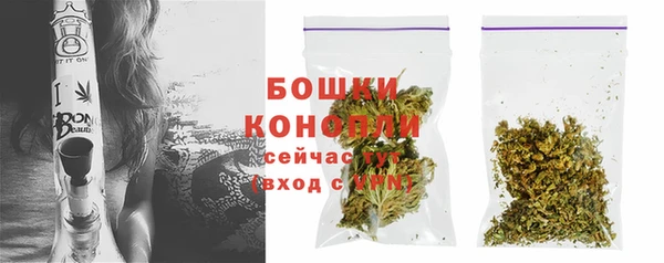 ГАЛЛЮЦИНОГЕННЫЕ ГРИБЫ Гусь-Хрустальный