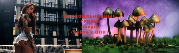 марихуана Гусев