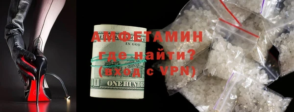 ГАЛЛЮЦИНОГЕННЫЕ ГРИБЫ Гусь-Хрустальный