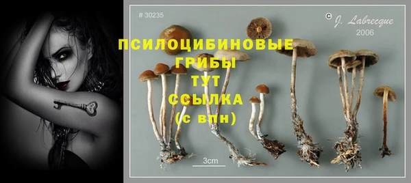 2c-b Гусиноозёрск