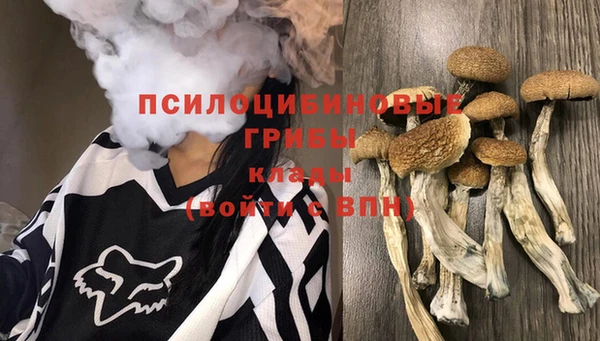 2c-b Гусиноозёрск