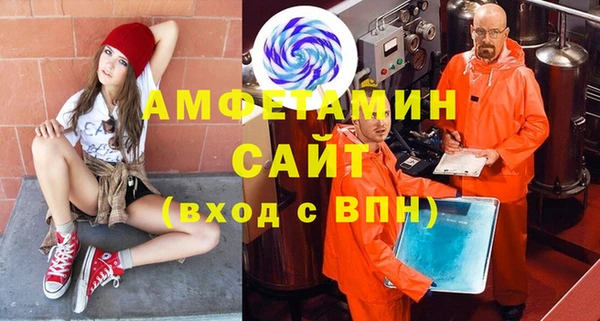 ГАЛЛЮЦИНОГЕННЫЕ ГРИБЫ Гусь-Хрустальный