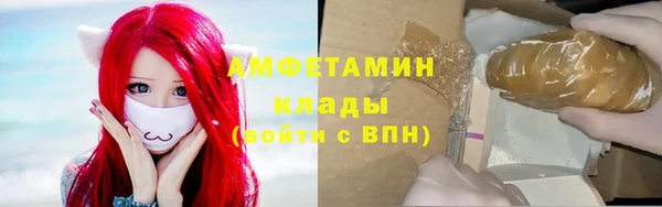 ГАЛЛЮЦИНОГЕННЫЕ ГРИБЫ Гусь-Хрустальный