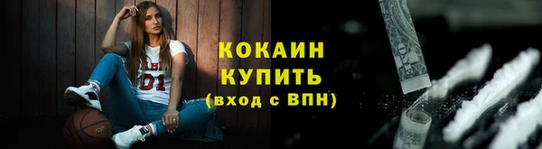 ГАЛЛЮЦИНОГЕННЫЕ ГРИБЫ Гусь-Хрустальный
