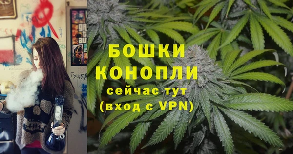 ГАЛЛЮЦИНОГЕННЫЕ ГРИБЫ Гусь-Хрустальный
