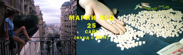 ГАЛЛЮЦИНОГЕННЫЕ ГРИБЫ Гусь-Хрустальный