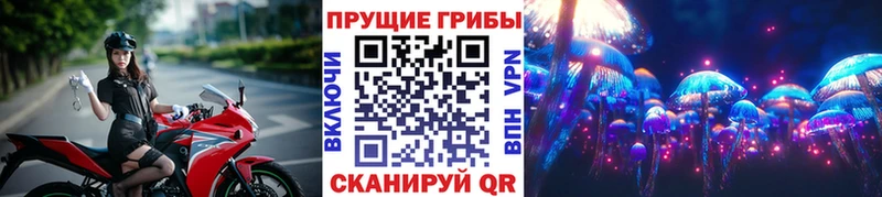 Галлюциногенные грибы MAGIC MUSHROOMS  kraken сайт  мориарти телеграм  Стерлитамак 